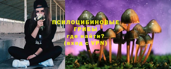 прущая мука Абаза