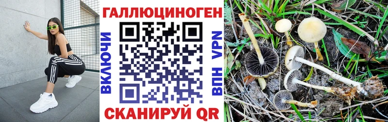 Псилоцибиновые грибы MAGIC MUSHROOMS  это формула  Тюмень 